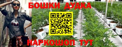 ГАЛЛЮЦИНОГЕННЫЕ ГРИБЫ Тара