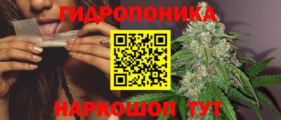 бошки Тверь