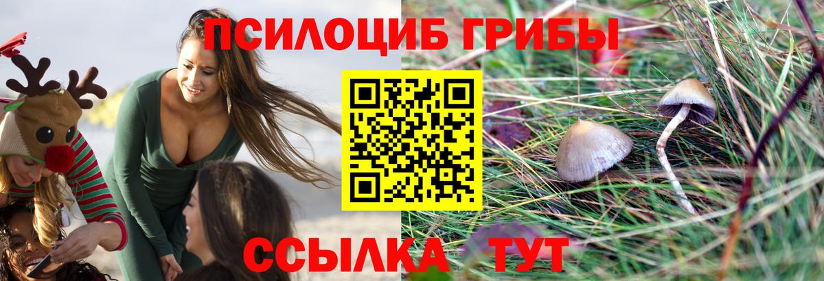 Михайловка  продажа наркотиков  Вход с VPN  Галлюциногенные грибы мицелий 