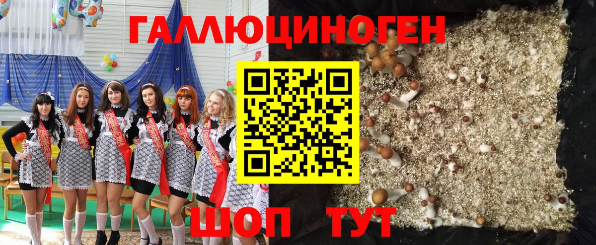 Галлюциногенные грибы GOLDEN TEACHER Михайловка